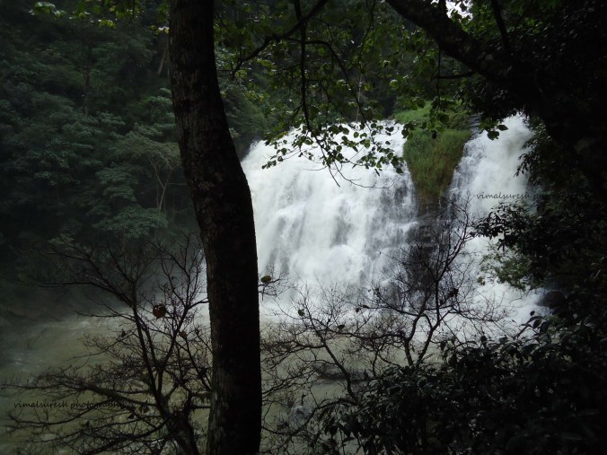 Abbey Falls, Coorg