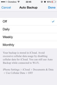 Auto Backup